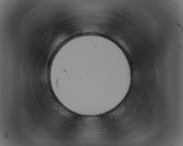 X0000096660832200802050954