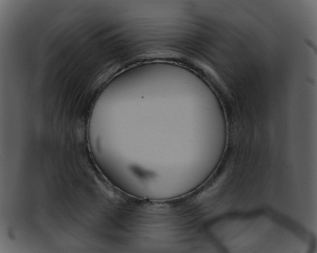X0000096660833200802050954