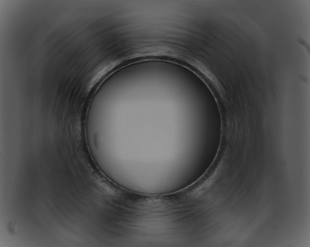 X0000096660834200802050954