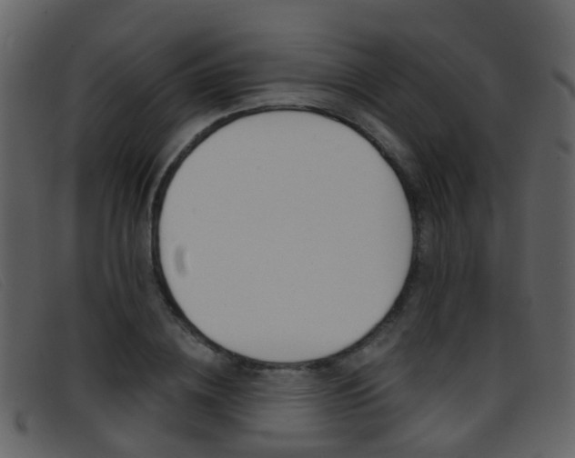 X0000096660836200802050954