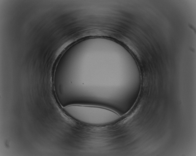 X0000096660837200802050954