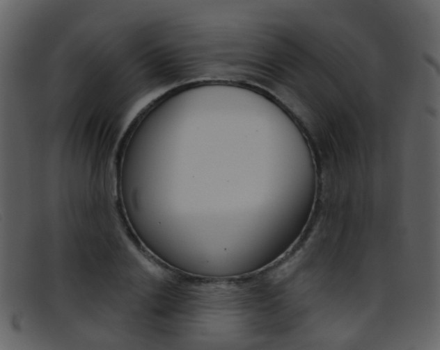 X0000096660838200802050954