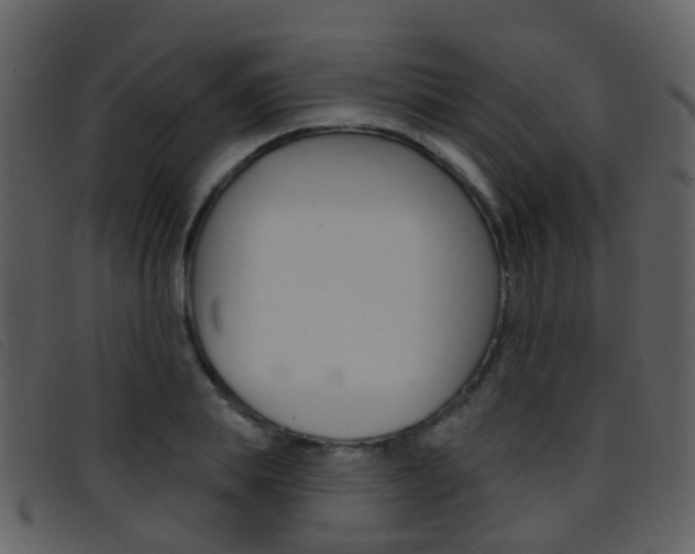 X0000096660839200802050954