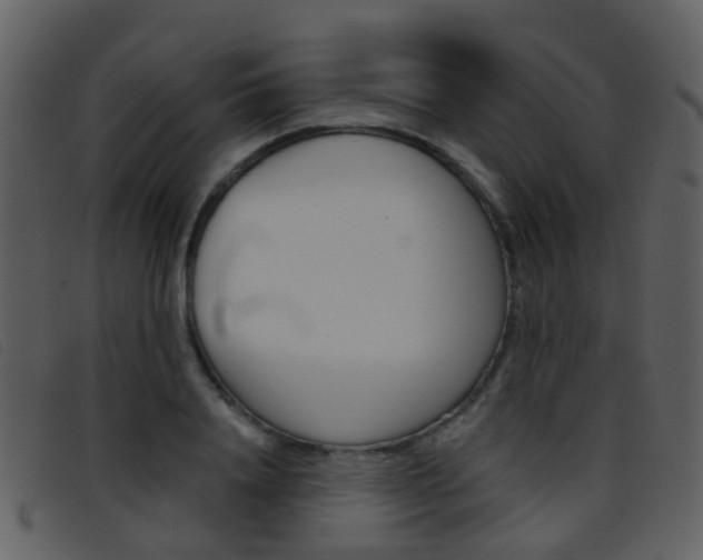 X0000096660840200802050955
