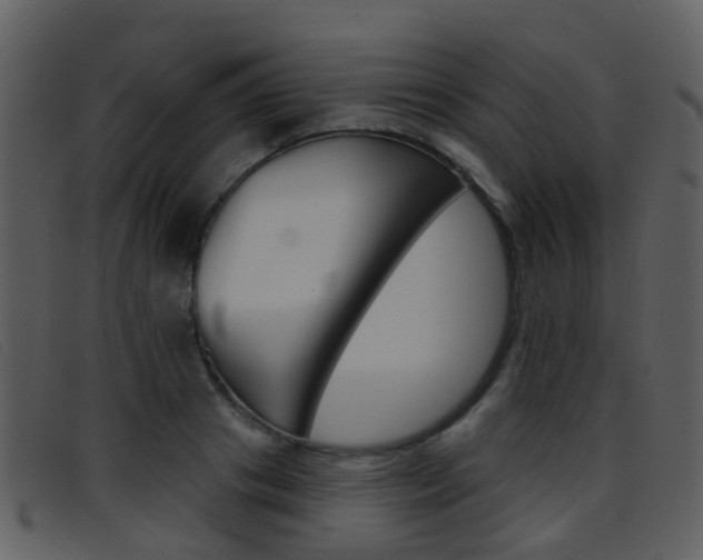 X0000096660841200802050955