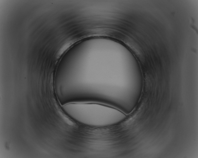 X0000096660842200802050955