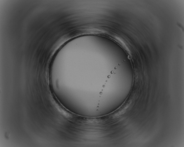 X0000096660843200802050955
