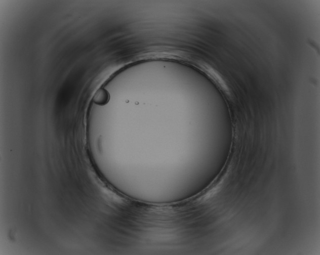X0000096660844200802050955