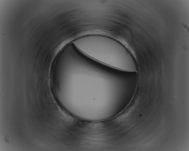 X0000096660845200802050955