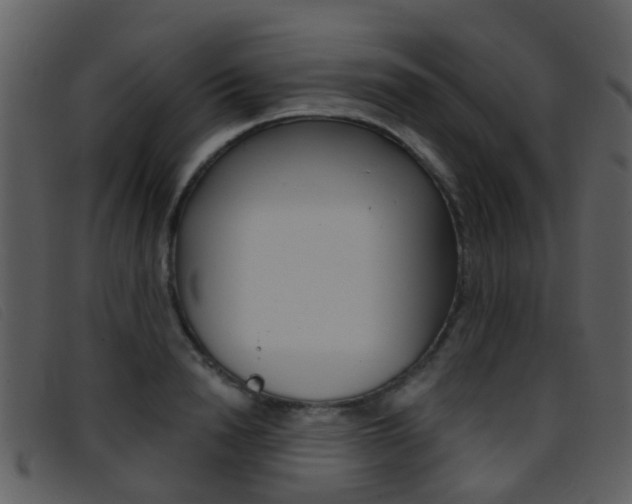 X0000096660846200802050955