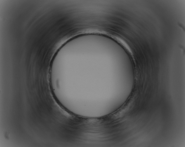 X0000096660847200802050955