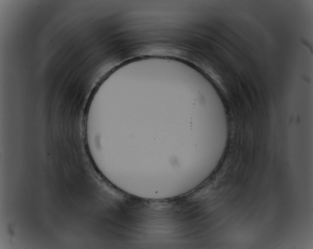 X0000096660848200802050955
