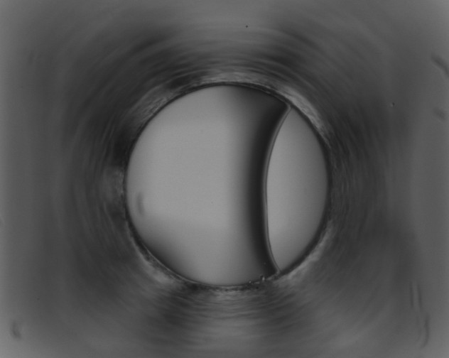 X0000096660849200802050955