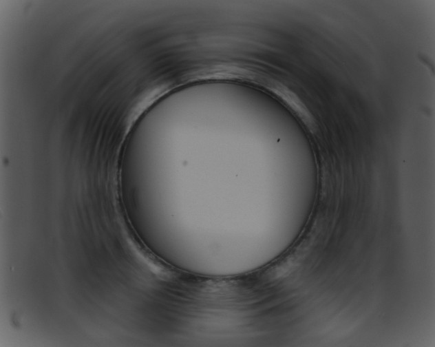 X0000096660850200802050955