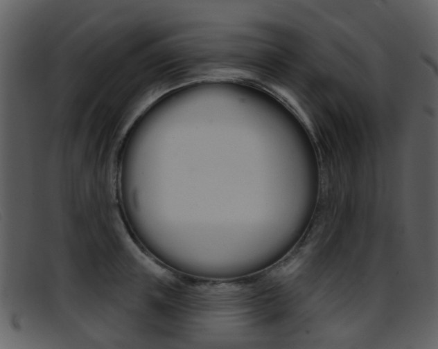 X0000096660851200802050955