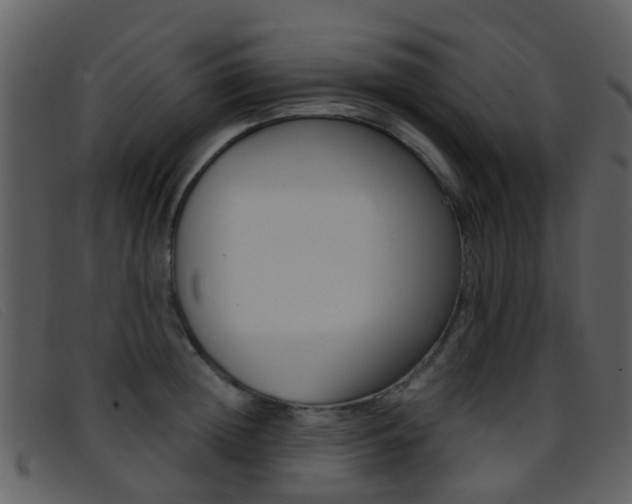 X0000096660852200802050955