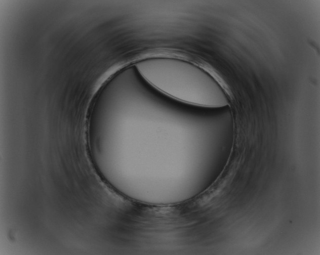 X0000096660853200802050955