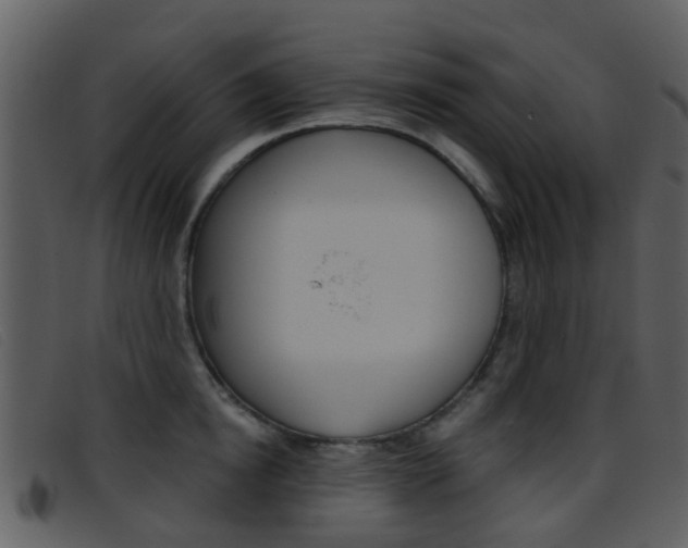 X0000096660854200802050955