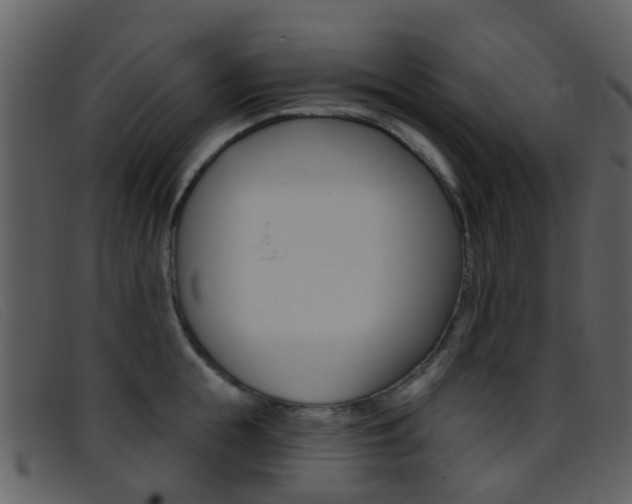 X0000096660855200802050955