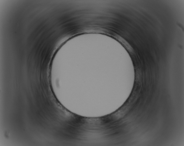 X0000096660856200802050955