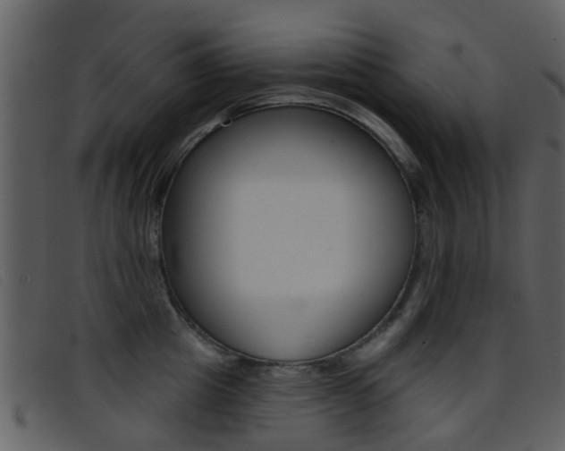 X0000096660857200802050955