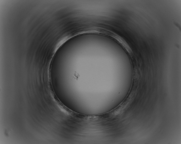 X0000096660858200802050955