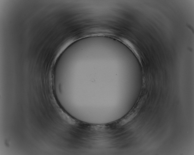 X0000096660859200802050955