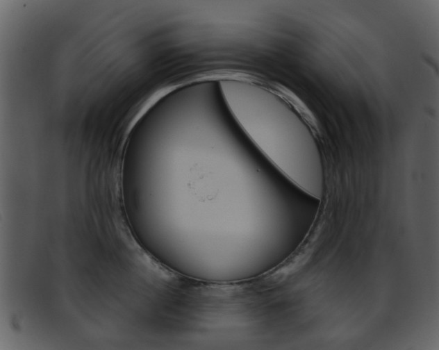 X0000096660860200802050955