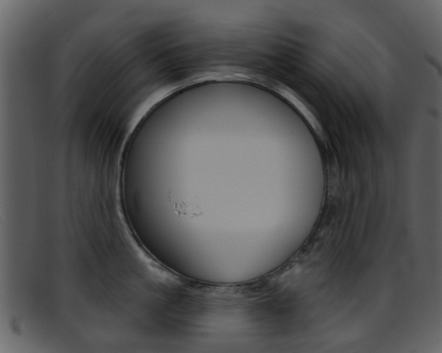 X0000096660861200802050955