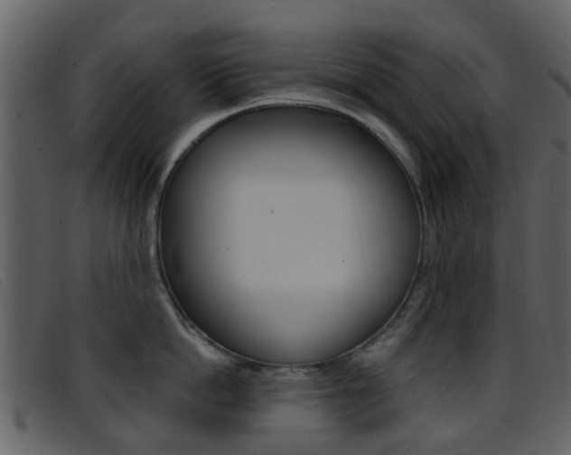 X0000096660862200802050955