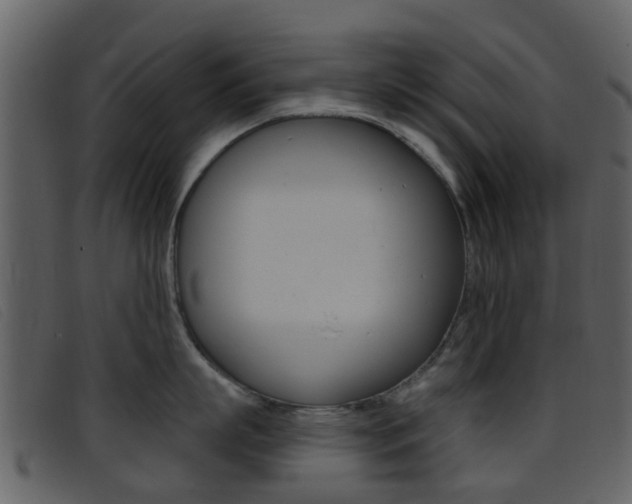 X0000096660863200802050955