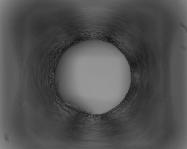 X0000096660865200802050954