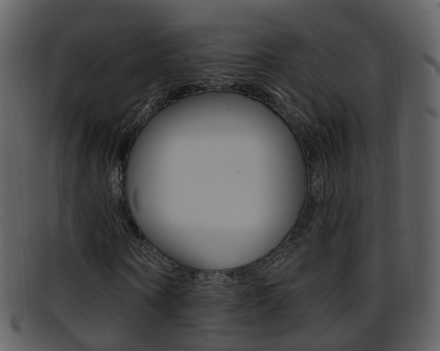 X0000096660866200802050954