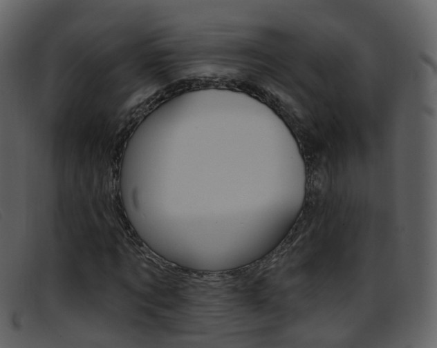 X0000096660869200802050954