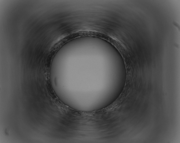 X0000096660870200802050954