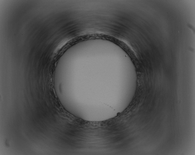 X0000096660871200802050954