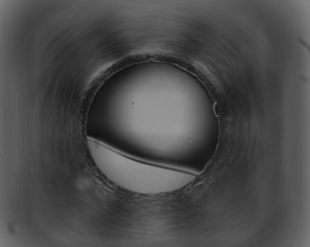 X0000096660872200802050954