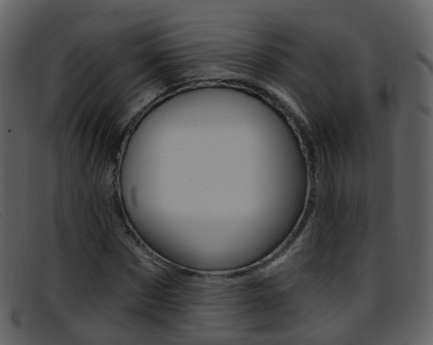 X0000096660873200802050954