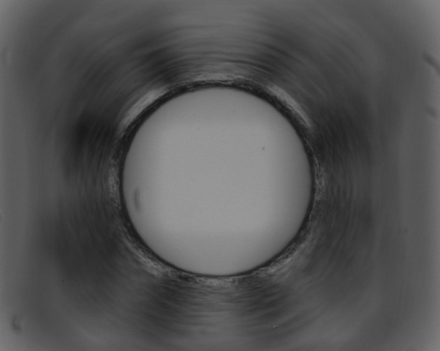 X0000096660874200802050954