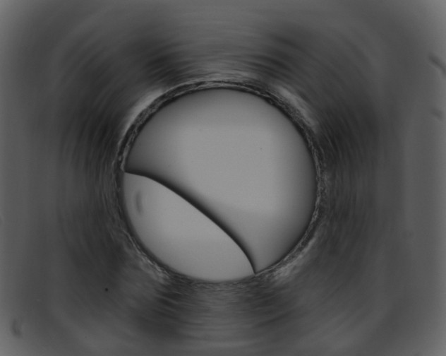 X0000096660875200802050954