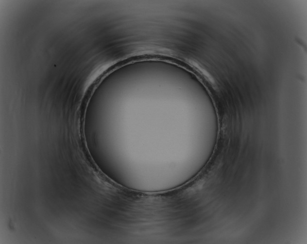 X0000096660877200802050954