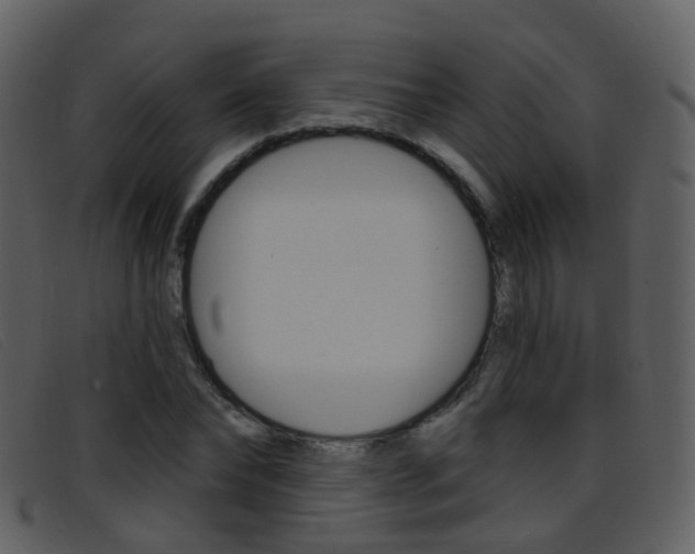 X0000096660878200802050954