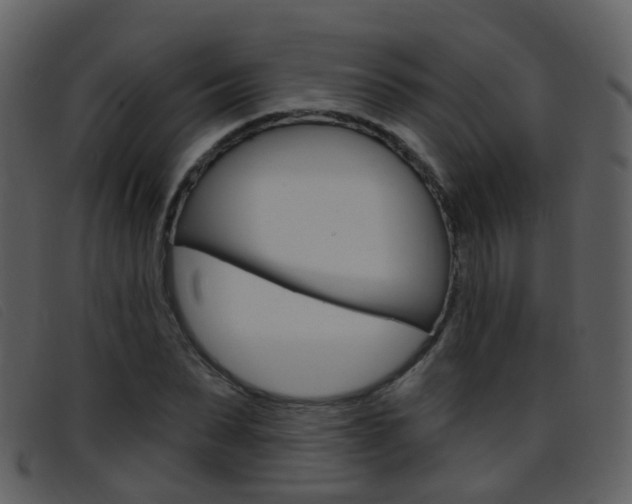 X0000096660879200802050954