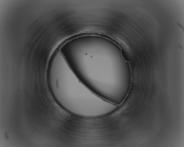 X0000096660880200802050954