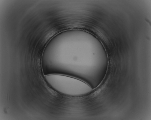 X0000096660881200802050954