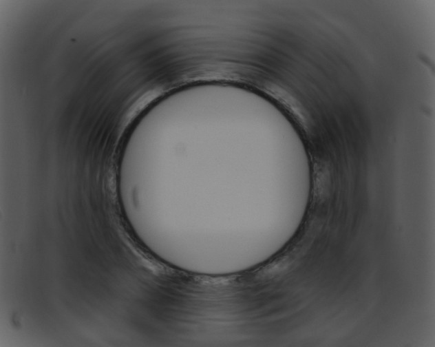 X0000096660882200802050954