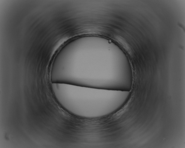 X0000096660883200802050954