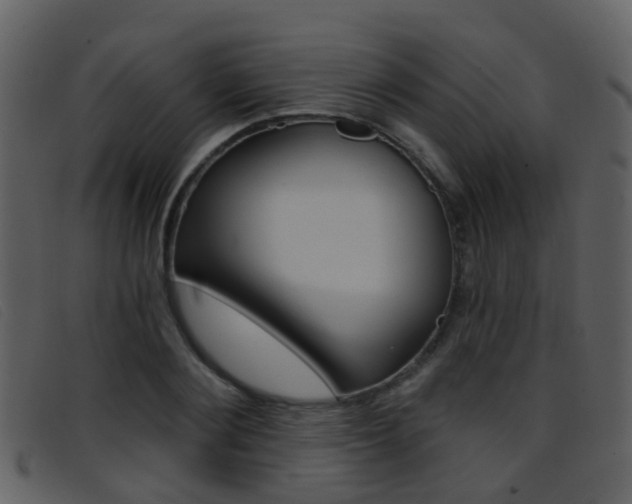 X0000096660884200802050954