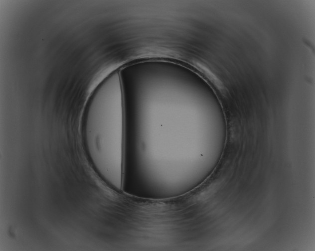 X0000096660885200802050954