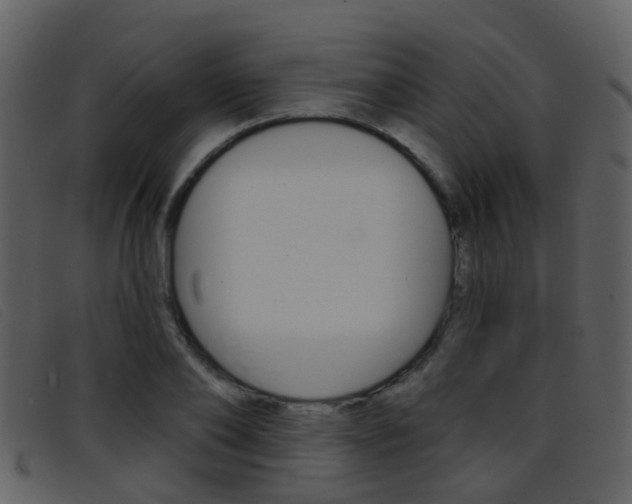 X0000096660886200802050954